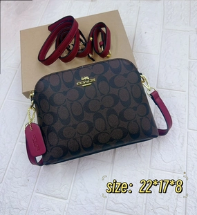 Coach crossbody bag in a trendy