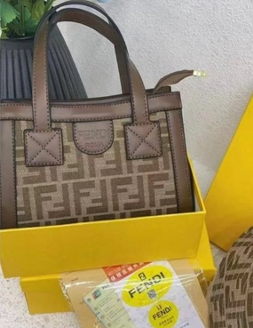 Fendi Roma Purse